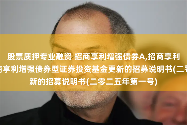 股票质押专业融资 招商享利增强债券A,招商享利增强债券C: 招商享利增强债券型证券投资基金更新的招募说明书(二零二五年第一号)