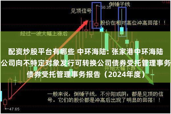配资炒股平台有哪些 中环海陆: 张家港中环海陆高端装备股份有限公司向不特定对象发行可转换公司债券受托管理事务报告（2024年度）