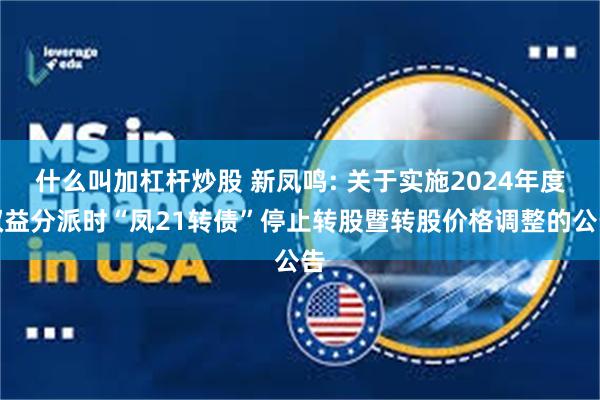 什么叫加杠杆炒股 新凤鸣: 关于实施2024年度权益分派时“凤21转债”停止转股暨转股价格调整的公告