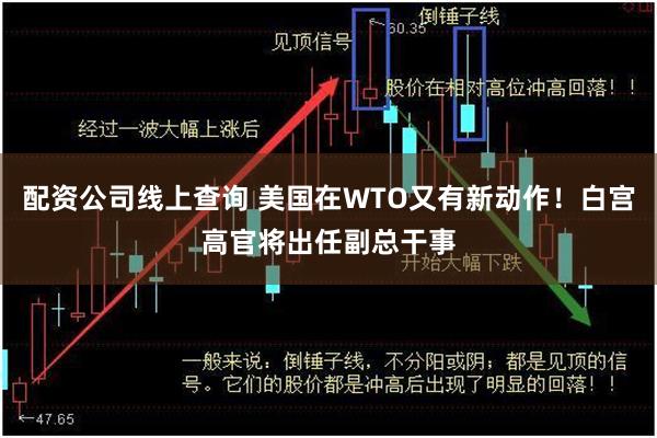 配资公司线上查询 美国在WTO又有新动作！白宫高官将出任副总干事