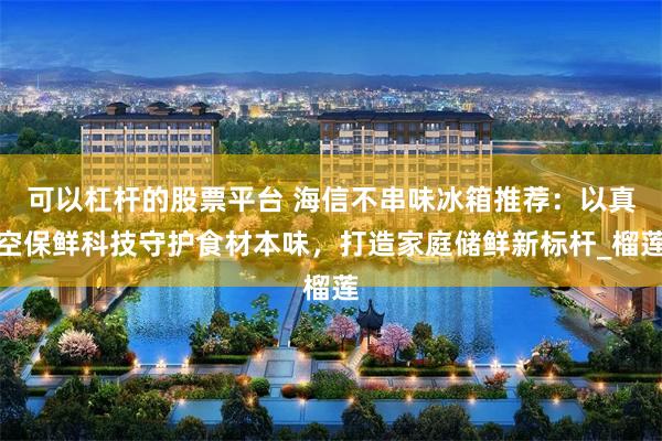 可以杠杆的股票平台 海信不串味冰箱推荐：以真空保鲜科技守护食材本味，打造家庭储鲜新标杆_榴莲