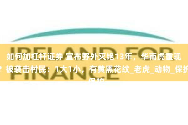 如何加杠杆证券 宣布野外灭绝13年，华南虎重现？被袭击村民：1大1小，有黄黑花纹_老虎_动物_保护