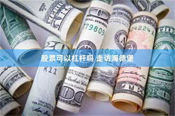 股票可以杠杆吗 走访海德堡